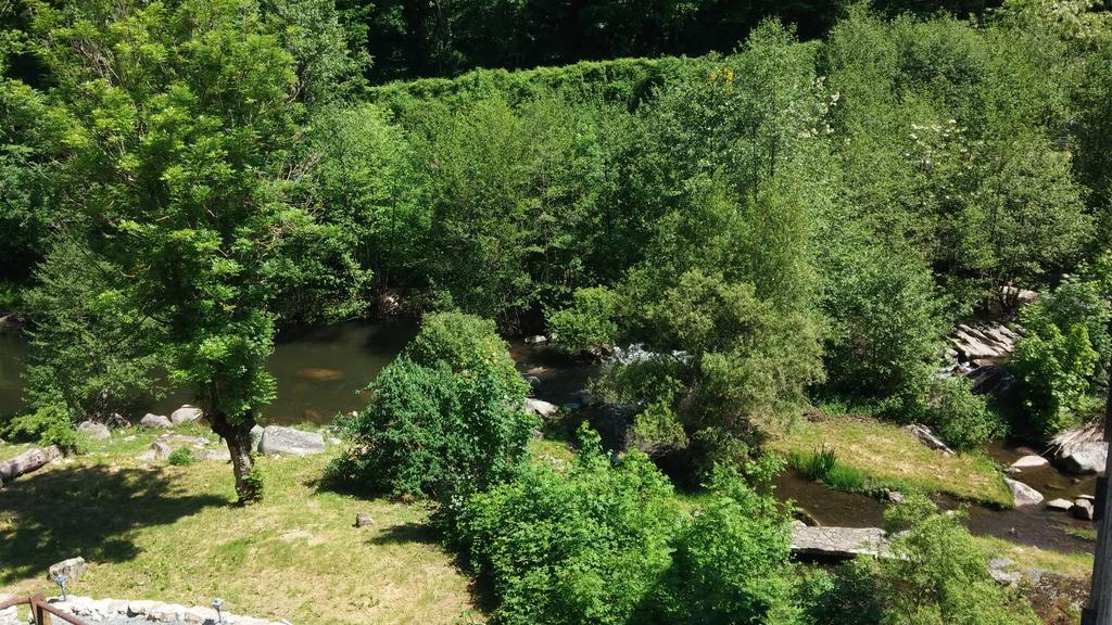 Ferrieres  Moulin De Record 빌라 객실 사진